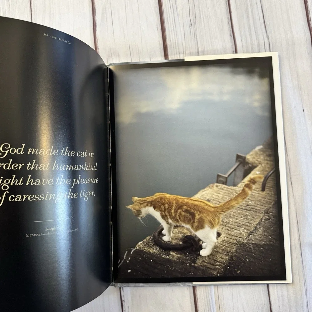 The‎ French Cat Photographs Rachael Hale McKenna Hardcover